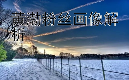 黄渤粉丝画像解析