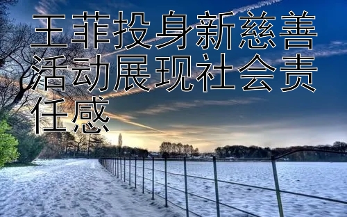 王菲投身新慈善活动展现社会责任感