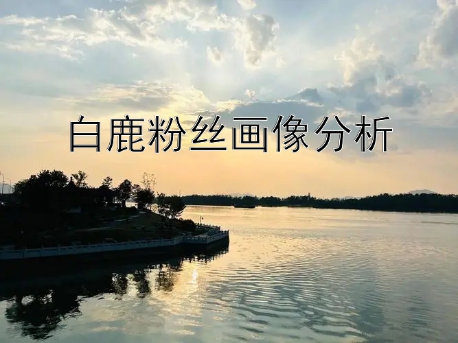 白鹿粉丝画像分析