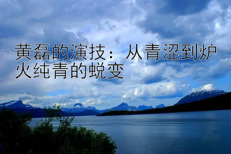 黄磊的演技：从青涩到炉火纯青的蜕变