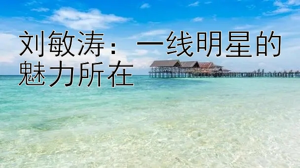 刘敏涛：一线明星的魅力所在